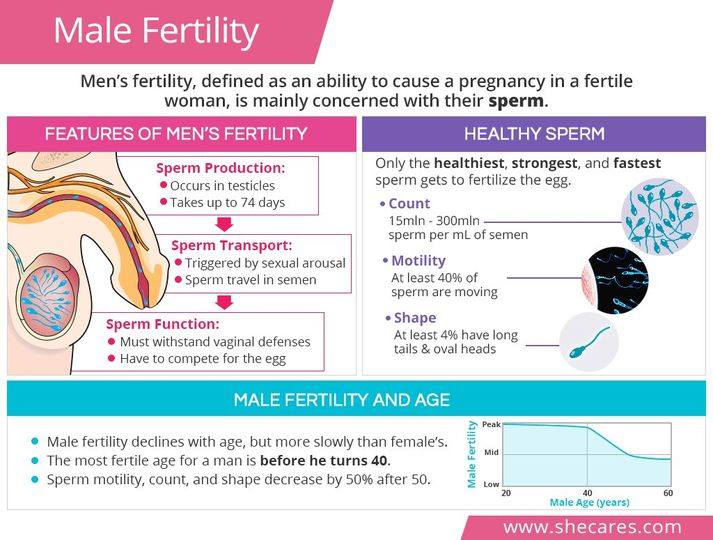 AGO MOM - nourishes eggs, prevents miscarriage, increases fertility, reduces infertility in PREGNANT women after 30 days .Treatment: Infertility, fibroids, polycystic, endometriosis, fallopian tube blockage, miscarriage, weak sperm..